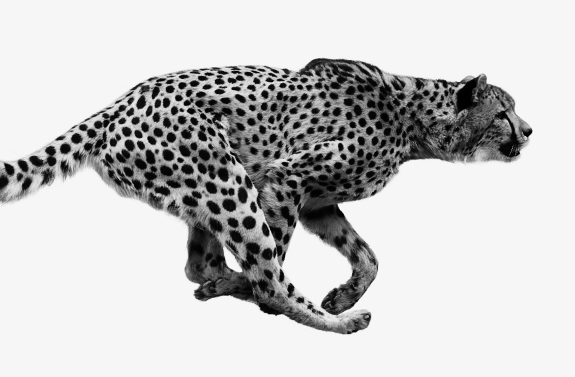 <span >L'excellence en matière de performance</span>
